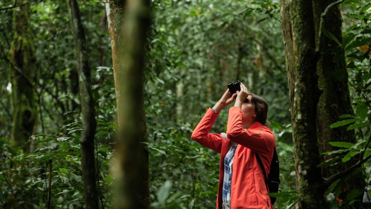 Por que os turistas estão buscando cada vez mais experiências?