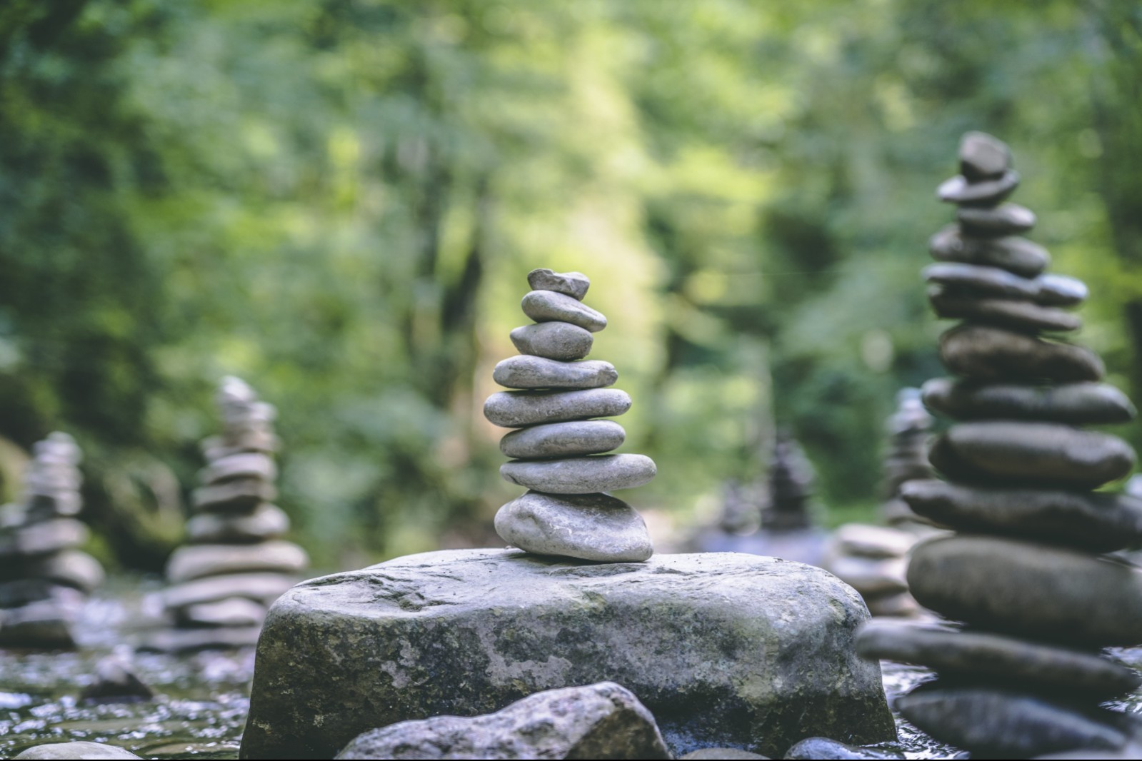 Zen Plus